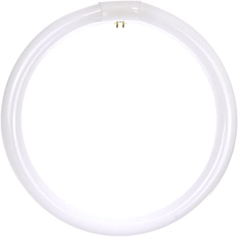 Sunlite FC12T9/CW Fluorescent 32W T9 Circline Ceiling Lights, 4100K Cool White Light, 4-Pin Base