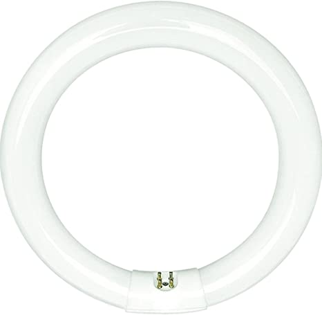 Sylvania 20142 - FC12T9/CW/RS -32 Watt T9 Cool White Circular Fluorescent Light Bulb, 12