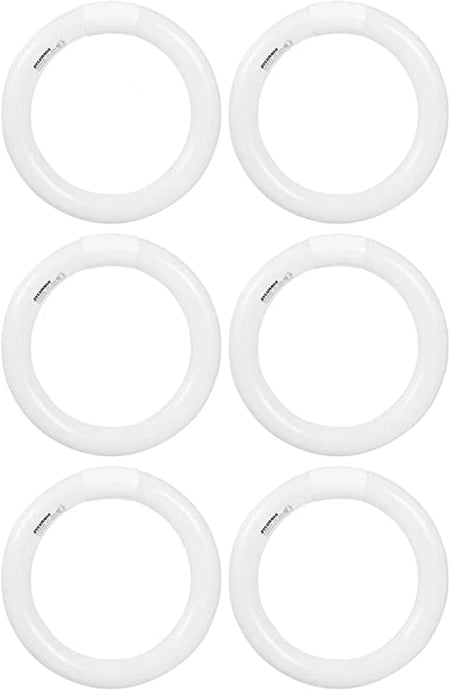 Sylvania 23521 Cool White Premium Circline Fluorescent T9 Circle 12 inch Diameter, 32 watts ( 6 pack)